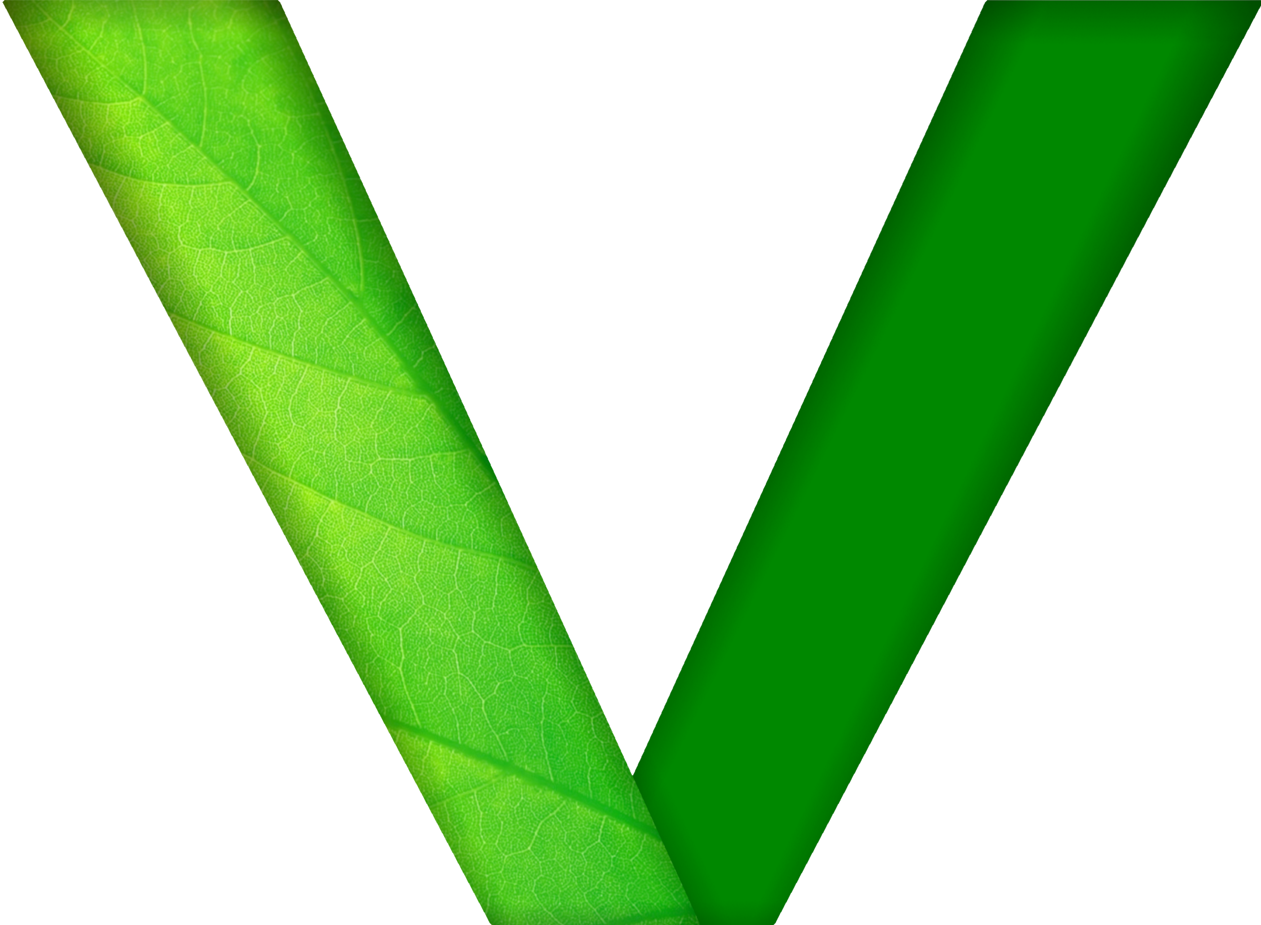 VillaHosting Logo
